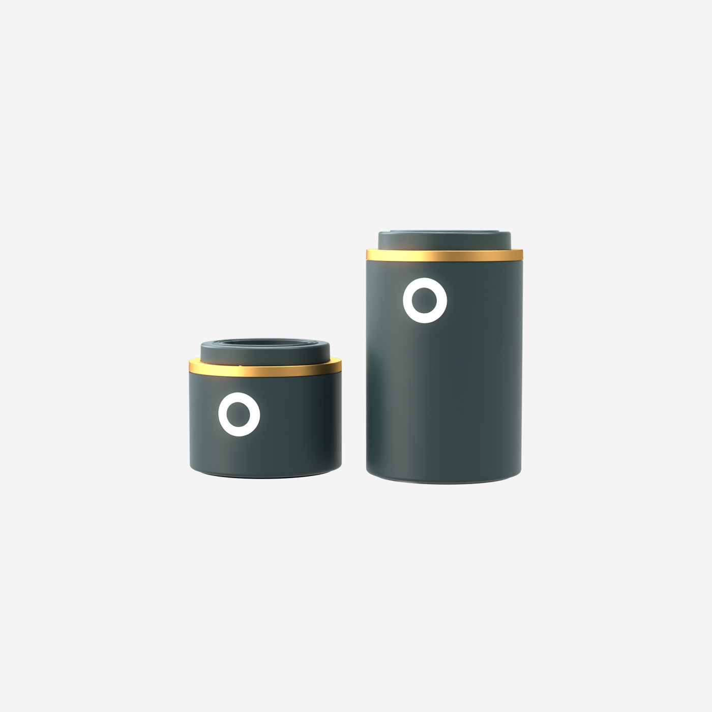 PLUG&GO | Extra Battery